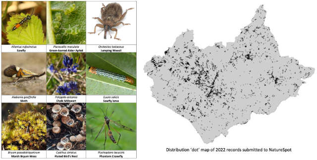 NatureSpot Annual Report 2022