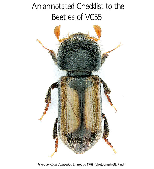 Beetles Checklist