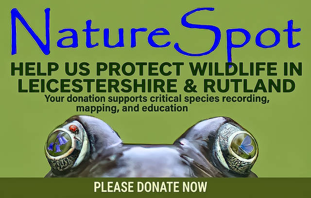 Please donate
