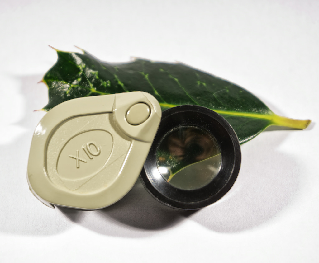 Hand lens