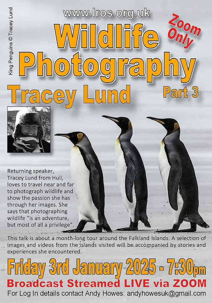 LROS - Wildlife Photography Part 3 - Tracey Lund