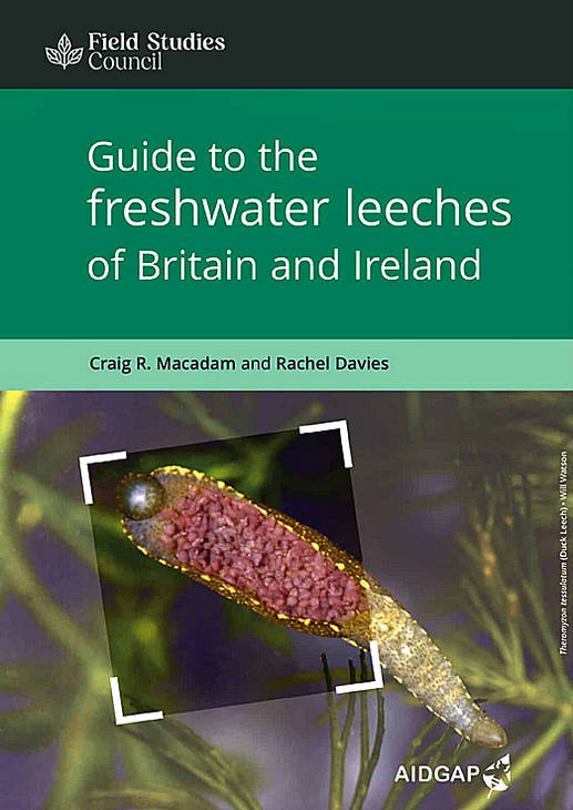 Wildlife Guide - Leeches
