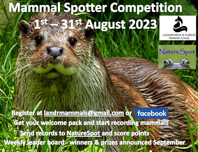 Mammal Spotter 2023