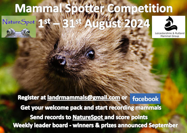 Mammal Spotter Competition 2024