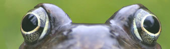 NatureSpot banner
