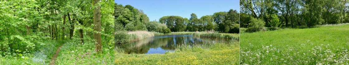 Billesdon Pool
